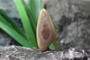 امپریال جاسپر Imperial jasper S2621 