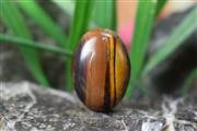 چشم ببر(Tiger eye) S4863