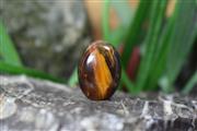 چشم ببر (Tiger eye) S4969