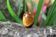 چشم ببر(Tiger eye) S6024