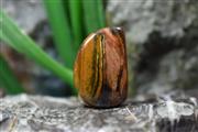 چشم ببر(Tiger eye) S2860