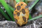 جاسپر پوست پلنگ (leopard skin jasper) S4326