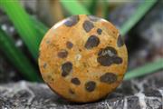 جاسپر پوست پلنگ (leopard skin jasper) S4323