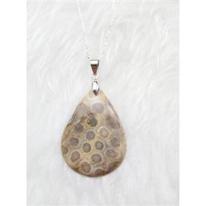 فسیل مراکش (Morocco Fossil Coral) S1409