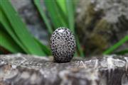 مرجان سیاه (black coral) S3176