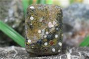 جاسپر اقیانوسی (Ocean jasper) S3669