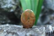 جاسپر اقیانوسی(Ocean jasper) S4111