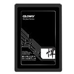 Gloway FER Series 960GB Internal SSD Drive