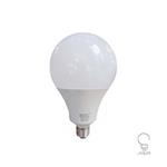 لامپ LED حبابی 20 وات ای دی سی