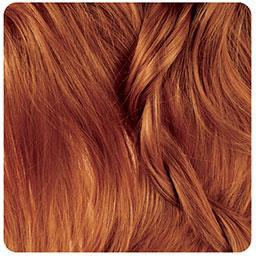 رنگ مو بیول Bio’l بلوند شکلات پرتقالی تیره 6.84 Biol Hair Color Orange Chocolate Series 100ml