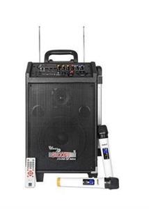 اکو پرتابل شارژی 5CORE PDJ2008 BT