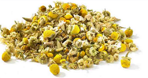 بابونه فله ای