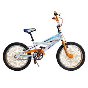 دوچرخه شهری اسکای لند مدل BMX-0060SW سایز 20 