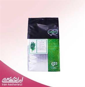 فروش بذر شوید هیبرید Alligator F1 محصول شرکت گاوریش روسیه