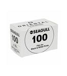 فیلم نگاتیو عکاسی سیاه و سفید SEAGULL 100 بسته ۱۰ عددی