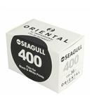 فیلم نگاتیو عکاسی سیاه و سفید SEAGULL 400 بسته ۱۰ عددی