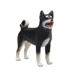 سگ شیبا مشکی موجو  Shiba Inu Black 387363