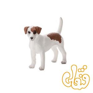 سگ تریر جک راسل Jack Russell Terrier 387286