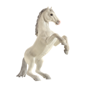 اسب وحشی ایستاده سفید Mustang rearing White 387351