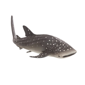 کوسه نهنگ Whale Shark 387278