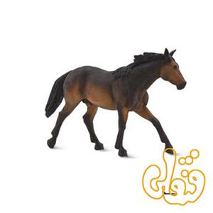 اسب کوارتز دودی Quarter Horse Sooty Bay 387151