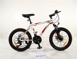 دوچرخه مدل ZK 100 سایز 20 فونیکس 