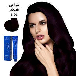 رنگ مو جوو مدل Excellence شماره 3.20 حجم 100 میلی لیتر رنگ بادمجانی