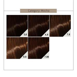 رنگ مو وینکور مدل Mocha حجم 100 میل شماره 5.8 Vincor Mocha Hair Color 100ml No.5.8