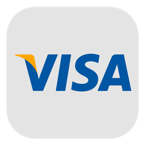 ویزا کارت مجازی آمریکا VISA Card 