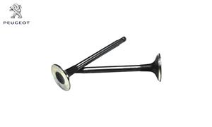 سوپاپ دود هوا پژو پارس