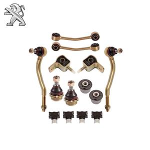 جلوبندی کامل پژو405