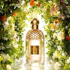 عطر مردانه گرلن آکوآ آلگوریا نرولی بیانکا ادو تویلت 125 میل Guerlain Aqua Allegoria Nerolia Bianca