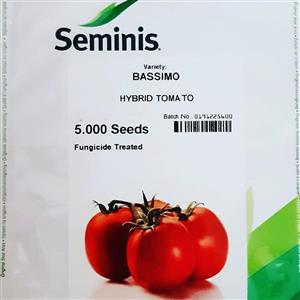 بذر گوجه هیبرید واریته باسیمو کمپانی سمینیس 