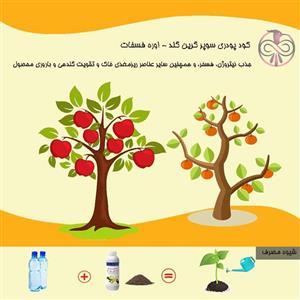 کود پودری سوپر گرین گلد – اوره فسفات بسته 10 کیلوگرمی