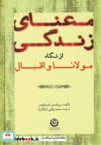 معنای زندگی از نگاه مولانا و اقبال 