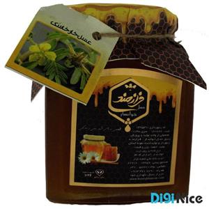 عسل خارخاسک فرازمند خوانسار 900 گرم 