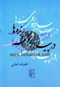 کتاب در پیاده روی پرنده ها اثر علیرضا عیانی 