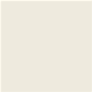 فون کاغذی Savage Widetone Seamless #12 Studio Gray