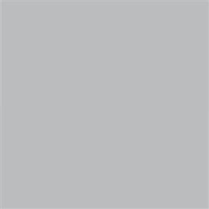 فون کاغذی Savage Widetone Seamless #09 Stone Gray