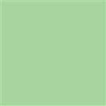 فون کاغذی Savage Widetone Seamless #40 Mint Green - 2.73×11