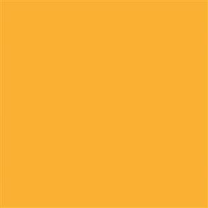 فون کاغذی Savage Widetone Seamless #43 Marmalade