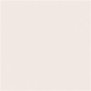 فون کاغذی Savage Widetone Seamless #51 Bone