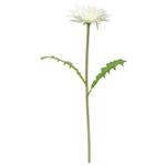 شاخه گل داوودی ایکیا مدل SMYCKA سایز 30 سانتیمتری