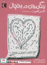 زندگی روی در یخچال
