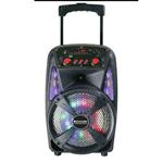 اسپیکر چمدانی میرنده speaker meirende P10