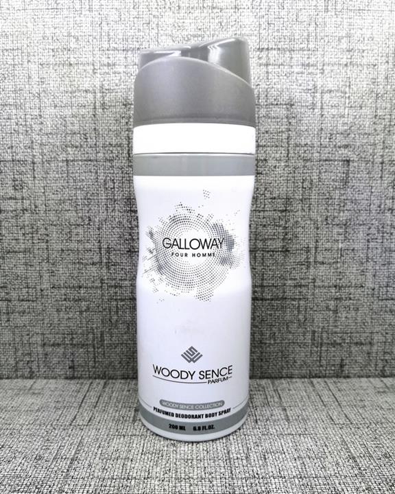 اسپری خوشبو کننده بدن مردانه وودی سنس مدل Galloway حجم ۲۰۰ میلی لیتر