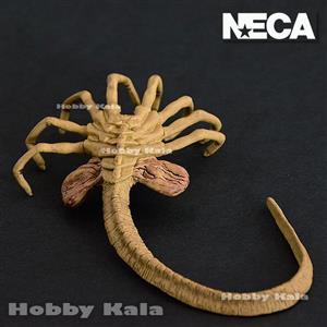 اکشن‌فیگور ایلین فیس هاگر نکا | NECA FACEHUGGER ALIEN Action Figure 