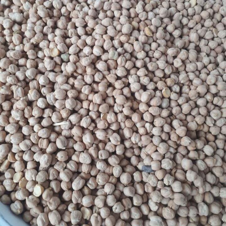 نخود فله ای