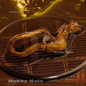 اکشن‌فیگور ایلین زنوکبرا نکا | NECA XENOCOBRA ALIEN Action Figure 