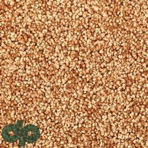 پالازموکت – یاس 5165